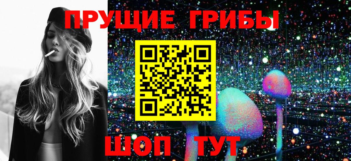 Галлюциногенные грибы Psilocybe Новоуральск