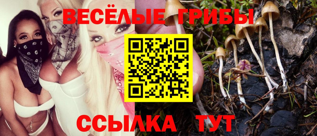 Новоуральск  Галлюциногенные грибы мицелий  Вход с VPN 